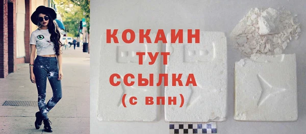 ECSTASY Пересвет