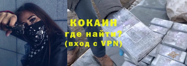 ECSTASY Пересвет
