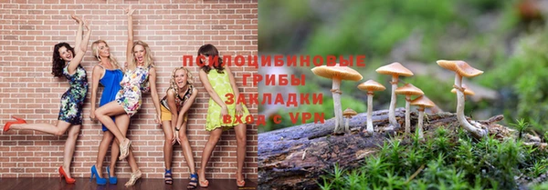 ECSTASY Пересвет