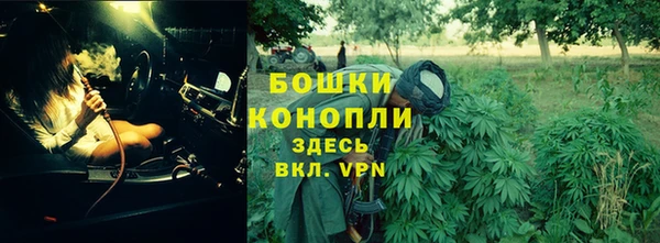 прущие грибы Пестово