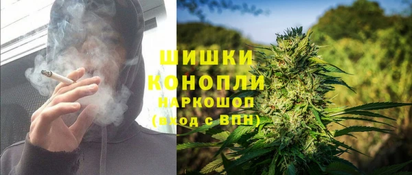прущие грибы Пестово