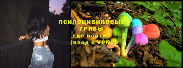 ECSTASY Пересвет