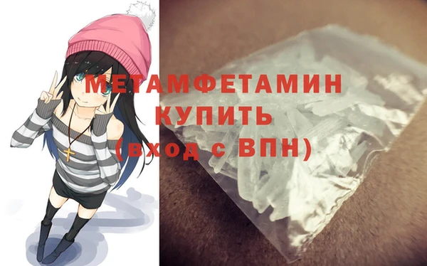 прущие грибы Пестово
