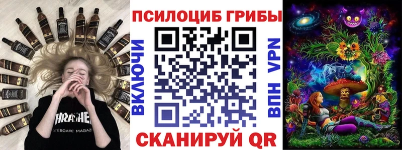дарнет шоп Сафоново Псилоцибиновые грибы Psilocybe