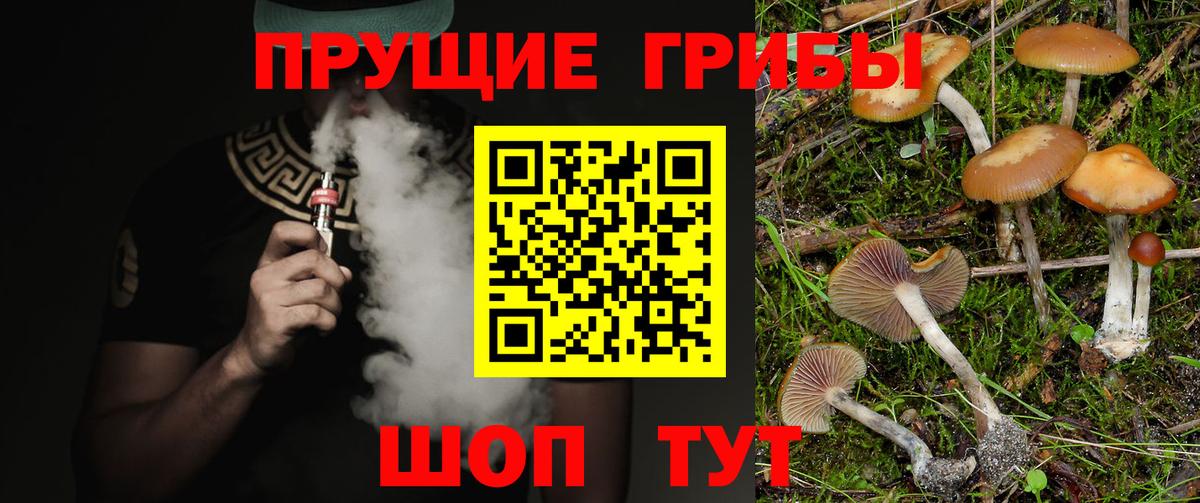 Галлюциногенные грибы мицелий  Сафоново 