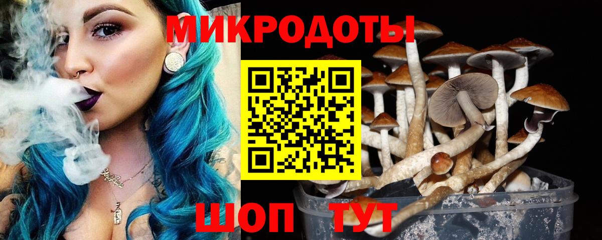 Псилоцибиновые грибы мицелий Сафоново